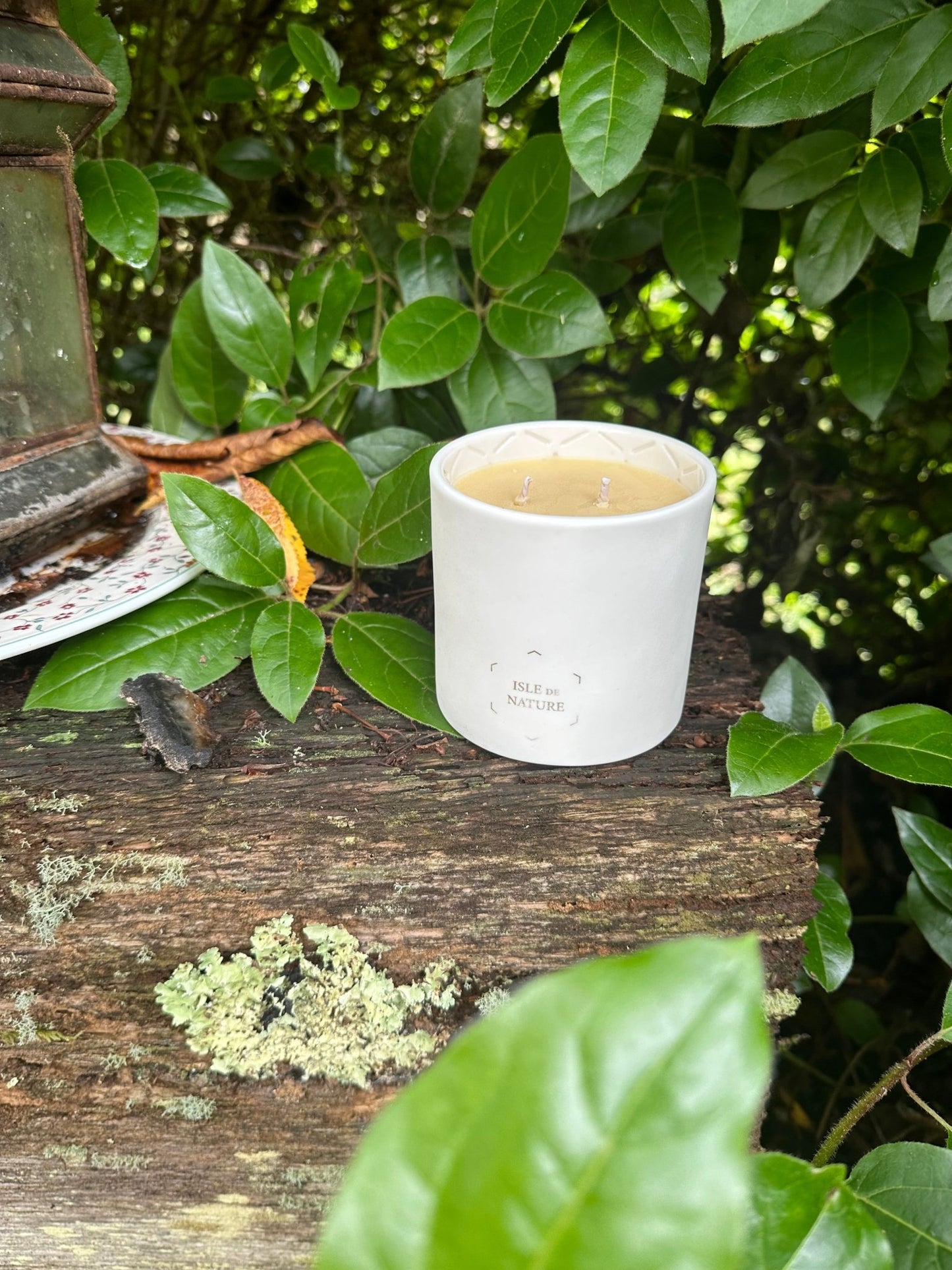 Pagua Bay Fragrance Luxury Beeswax Candle - RN Shop860003224113860003224113860003224113860003224113860003224113Pagua Bay Fragrance Luxury Beeswax CandleCandleIsle de NatureRN ShopOGPBC001